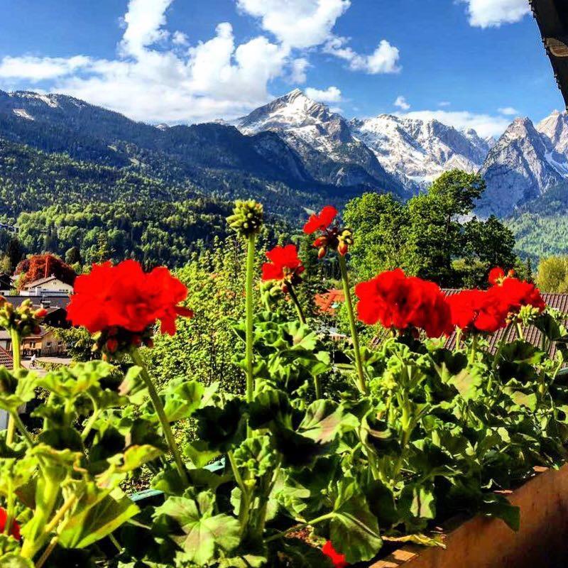 Gaestehaus Hohe Tannen Garmisch-Partenkirchen Dış mekan fotoğraf